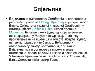 Бијељина
• Бијељина је смјештена у Семберији, и представља
раскршће путева за Србију, Хрватску и унутрашњост
Босне. Смјештена у равној и плодној Семберији, у
близини ријека Дрине и Саве, испод планине
Мајевице. Бијељина има једну од најразвијенијих
пољопривреда у Републици Српској. Главнину
производње чине пшеница и кукуруз, поврће, купус,
паприка, парадајз и лубенице. Воћарство и
сточарство су такође заступљени, али мање.
Бијељина има и установе за високо и више
школовање, седам средњих школа и више основних.
У близини Бјељине се налазе Етно село Станишић,
Бања Дворови и Манастир Тавна.

 