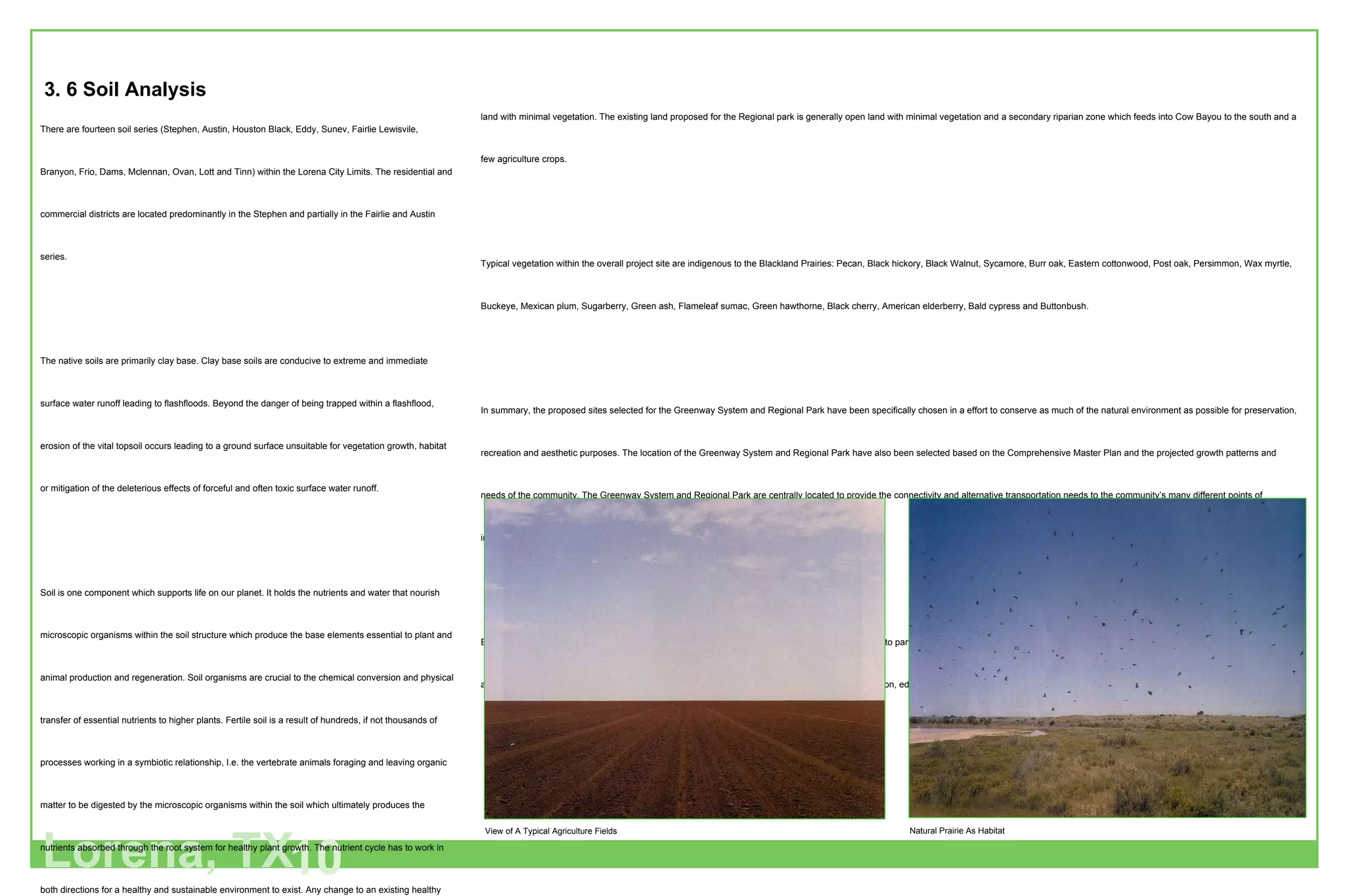 Lorena, TX 10 There are fourteen soil series (Stephen, Austin, Houston Black, Eddy, Sunev, Fairlie Lewisvile, Branyon, Frio, Dams, Mclennan, Ovan, Lott and Tinn) within the Lorena City Limits. The residential and commercial districts are located predominantly in the Stephen and partially in the Fairlie and Austin series.  The native soils are primarily clay base. Clay base soils are conducive to extreme and immediate surface water runoff leading to flashfloods. Beyond the danger of being trapped within a flashflood, erosion of the vital topsoil occurs leading to a ground surface unsuitable for vegetation growth, habitat or mitigation of the deleterious effects of forceful and often toxic surface water runoff. Soil is one component which supports life on our planet. It holds the nutrients and water that nourish microscopic organisms within the soil structure which produce the base elements essential to plant and animal production and regeneration. Soil organisms are crucial to the chemical conversion and physical transfer of essential nutrients to higher plants. Fertile soil is a result of hundreds, if not thousands of processes working in a symbiotic relationship, I.e. the vertebrate animals foraging and leaving organic matter to be digested by the microscopic organisms within the soil which ultimately produces the nutrients absorbed through the root system for healthy plant growth. The nutrient cycle has to work in both directions for a healthy and sustainable environment to exist. Any change to an existing healthy eco-system by the infiltration of toxins, soil erosion or a change in the water cycle will disrupt and perhaps totally destroy a pristine and lush landscape that has reached equilibrium. At present, the land proposed for the recreational Greenway System is a mature riparian zone (Cow Bayou) including a 300 foot buffer zone on each side of the center line stream channel. Just outside this fertile zone are numerous agriculture crops and open 3. 6 Soil Analysis   land with minimal vegetation. The existing land proposed for the Regional park is generally open land with minimal vegetation and a secondary riparian zone which feeds into Cow Bayou to the south and a few agriculture crops. Typical vegetation within the overall project site are indigenous to the Blackland Prairies: Pecan, Black hickory, Black Walnut, Sycamore, Burr oak, Eastern cottonwood, Post oak, Persimmon, Wax myrtle, Buckeye, Mexican plum, Sugarberry, Green ash, Flameleaf sumac, Green hawthorne, Black cherry, American elderberry, Bald cypress and Buttonbush. In summary, the proposed sites selected for the Greenway System and Regional Park have been specifically chosen in a effort to conserve as much of the natural environment as possible for preservation, recreation and aesthetic purposes. The location of the Greenway System and Regional Park have also been selected based on the Comprehensive Master Plan and the projected growth patterns and needs of the community. The Greenway System and Regional Park are centrally located to provide the connectivity and alternative transportation needs to the community’s many different points of interests.  By acquiring and maintaining these natural environments as well as, reestablishing native vegetation to particular crop land, Lorena will have comfort in knowing that their community will be contributing to and protecting its natural heritage for future generations, while providing a means for outdoor recreation, education, health, and community association. Natural Prairie As Habitat View of A Typical Agriculture Fields   