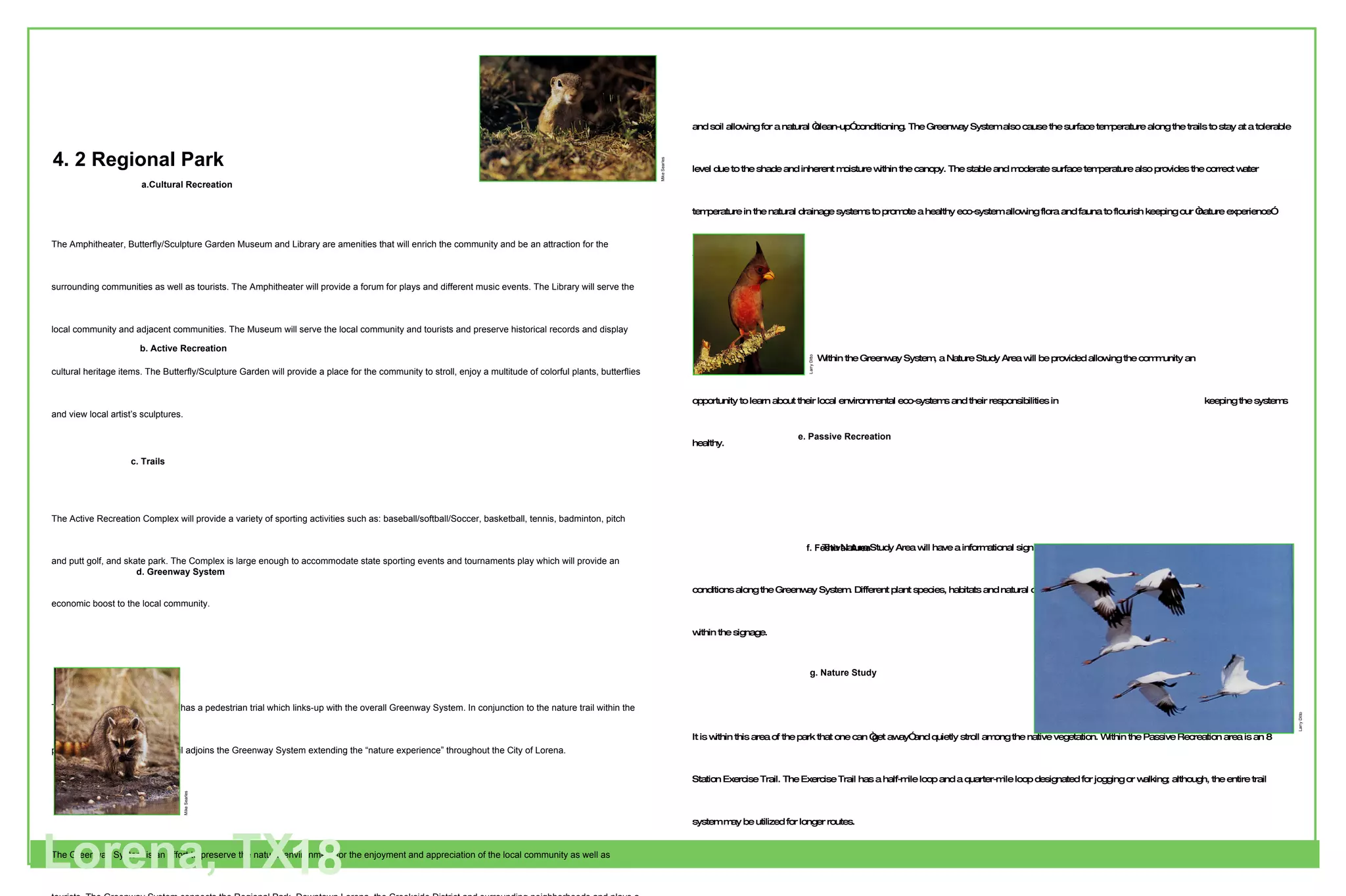 a.  Cultural Recreation The Amphitheater, Butterfly/Sculpture Garden Museum and Library are amenities that will enrich the community and be an attraction for the surrounding communities as well as tourists. The Amphitheater will provide a forum for plays and different music events. The Library will serve the local community and adjacent communities. The Museum will serve the local community and tourists and preserve historical records and display cultural heritage items. The Butterfly/Sculpture Garden will provide a place for the community to stroll, enjoy a multitude of colorful plants, butterflies and view local artist’s sculptures. b.  Active Recreation The Active Recreation Complex will provide a variety of sporting activities such as: baseball/softball/Soccer, basketball, tennis, badminton, pitch and putt golf, and skate park. The Complex is large enough to accommodate state sporting events and tournaments play which will provide an economic boost to the local community. c.  Trails The entire perimeter of the park has a pedestrian trial which links-up with the overall Greenway System. In conjunction to the nature trail within the park, the soft surface natural trail adjoins the Greenway System extending the “nature experience” throughout the City of Lorena. d.  Greenway System The Greenway System is an effort to preserve the natural environment for the enjoyment and appreciation of the local community as well as tourists. The Greenway System connects the Regional Park, Downtown Lorena, the Creekside District and surrounding neighborhoods and plays a vital role in providing habitat for many local and migrating        animals. It provides aesthetic beauty for the community at-large and increases the      economic value of the City and adjacent land. The Greenway System also promotes    cleaner water and air because of the appropriate  sized “buffer zone” which provides an      opportunity for pollutants in the air and surface water runoff to be drawn into the plants  and soil allowing for a natural “clean-up” conditioning. The Greenway System also cause the surface temperature along the trails to stay at a tolerable level due to the shade and inherent moisture within the canopy. The stable and moderate surface temperature also provides the correct water temperature in the natural drainage systems to promote a healthy eco-system allowing flora and fauna to flourish keeping our “nature experience” alive healthy, and diverse.   Within the Greenway System, a Nature Study Area will be provided allowing the community an    opportunity to learn about their local environmental eco-systems and their responsibilities in      keeping the systems healthy.   The Nature Study Area will have a informational sign system to read and learn about the different    conditions along the Greenway System. Different plant species, habitats and natural conditions    and eco-systems will be specified within the signage.  e.  Passive Recreation It is within this area of the park that one can “get away” and quietly stroll among the native vegetation. Within the Passive Recreation area is an 8 Station Exercise Trail. The Exercise Trail has a half-mile loop and a quarter-mile loop designated for jogging or walking; although, the entire trail system may be utilized for longer routes. f.  Festival Area A significant portion of the Passive Recreation area is left as  “ open-space to allow for a variety of festival activities and informal  sporting activities. g.  Nature Study The trail system winds along Cow Bayou. Cow Bayou has been  altered to provide a retention pond for surface water runoff. The retention pond serves as a significant and aesthetically pleasing  natural water feature in the park and provides habitat for local migrating animals. Lorena, TX 18 a.Cultural Recreation b. Active Recreation   c. Trails   d. Greenway System   e. Passive Recreation   f. Festival Area   g. Nature Study Larry Ditto Larry Ditto Mike Searles Mike Searles 4. 2 Regional Park 