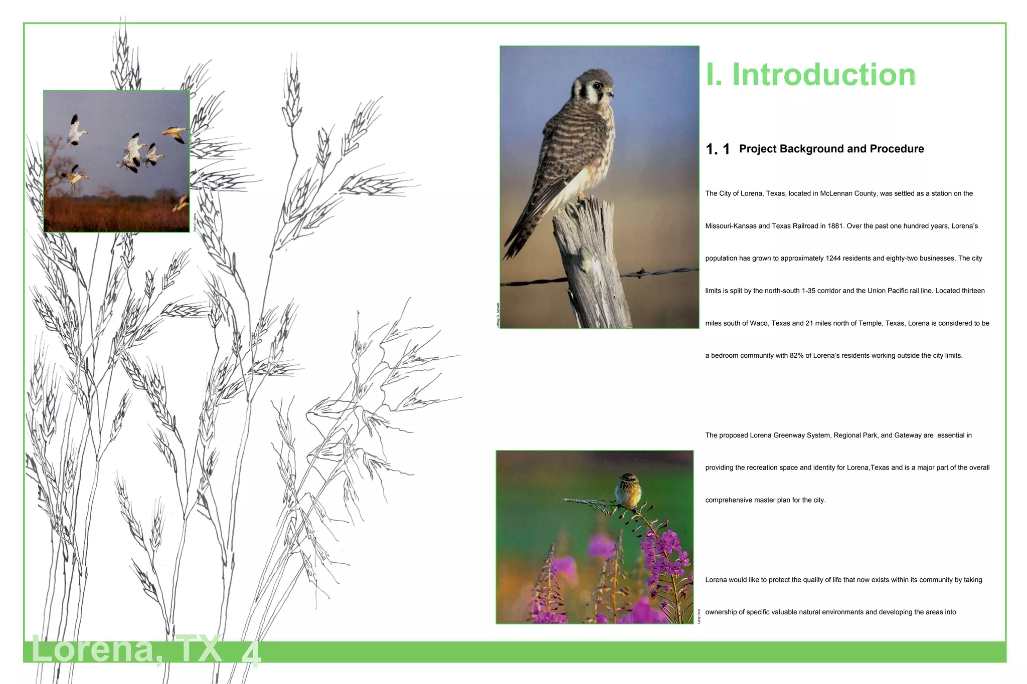 1. 1  Project Background and Procedure The City of Lorena, Texas, located in McLennan County, was settled as a station on the Missouri-Kansas and Texas Railroad in 1881. Over the past one hundred years, Lorena’s population has grown to approximately 1244 residents and eighty-two businesses. The city limits is split by the north-south 1-35 corridor and the Union Pacific rail line. Located thirteen miles south of Waco, Texas and 21 miles north of Temple, Texas, Lorena is considered to be a bedroom community with 82% of Lorena’s residents working outside the city limits. The proposed Lorena Greenway System, Regional Park, and Gateway are  essential in providing the recreation space and identity for Lorena,Texas and is a major part of the overall comprehensive master plan for the city.  Lorena would like to protect the quality of life that now exists within its community by taking ownership of specific valuable natural environments and developing the areas into recreational and educational outdoor spaces for both the local and adjacent communities. The area chosen for the Greenway System is a mature riparian zone along Cow Bayou. The property that has been selected for the Lorena Regional Park is a 187 acre contiguous parcel of land located adjacent to the Lorena I.S.D. school complex, west of Ten Oaks Plantation, south of Williams and north of Hatch Road. I. Introduction Lorena, TX 4 Tom C. Winn Larry Ditto Jeffrey G. Schultz 