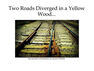 Two Roads Diverged in a Yellow
          Wood...




       http://www.flickr.com/photos/paro_for_peace/2715460542/
 
