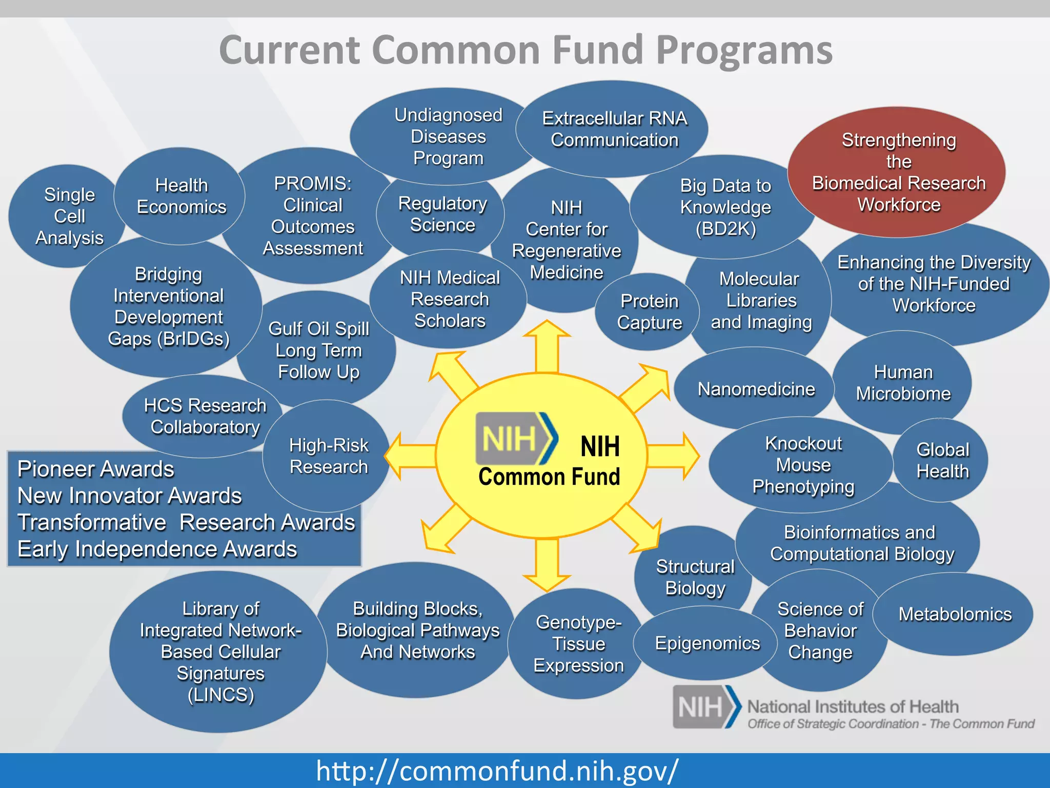 Reconvene at 1:00pm

Lunch

 