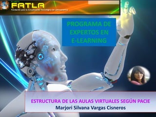 PROGRAMA DE
EXPERTOS EN
E-LEARNING
ESTRUCTURA DE LAS AULAS VIRTUALES SEGÚN PACIE
Marjori Silvana Vargas Cisneros
 