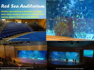 Red Sea Auditorium
Ref: https://www.oceanografic.org/visita-virtual/
Ref: https://www.oceanografic.org/visita-virtual/
Ref: https://www.zoochat.com/community/media/red-sea-
auditorium-at-oceanografic-29-05-11.149480/
Visitors can watch as a presenter on stage
and a diver inside an aquarium interact with
various species that live in the Red Sea
Ref: https://anyarnia.wordpress.com/tag/l-oceanografic-of-valencia/
 