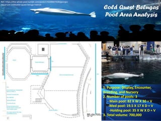 1. Purpose: Display, Encounter,
Breeding, and Nursery
2. Number of pools: 3
- Main pool: 82 X W X 30 = V
-Med pool: 19.5 X 17 X D = V
-Holding pool: 35 X W X D = V
3. Total volume: 700,000
Ref: https://the-whale-pool.tumblr.com/post/174339007028/georgia-
aquarium-coldwater-quest-beluga-habitat
Cold Quest Belugas
Pool Area Analysis
 
