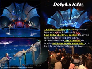 Dolphin Tales
Ref: https://www.georgiaaquarium.org/experience/dolphin-celebration/
http://atvyyc.net/2019/05/28/checking-georgia-aquarium/
1.8-million-US-gallon (6,800,000 L) gallery and
houses the indoor dolphin stadium.
Holds thirteen bottlenose dolphins, though this
number fluctuates from time to time.
The show lasts about 20 to 30 minutes and
includes an informative/educational video about
the dolphins 30 minutes before the show.
 