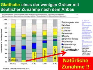 HUMER, Gräserführerschein 2019 105
Glatthafer eines der wenigen Gräser mit
deutlicher Zunahme nach dem Anbau
Q: HIETZ M.
Auswirkungen
der
Saatgutqualitäte
n sowie der
Arten- und
Sortenauswahl
von Gräser- und
Kleearten bei
internationalen
Dauergrünlandm
ischungen auf
den
Pflanzenbestand
im
Österreichischen
Alpenraum, ,
Dissertation
Dipl.-Ing.
Marianne Anita
HIETZ, Wien
Oktober 2009
Natürliche
Zunahme !!
Glatthafer
Glatthafer
Glatthafer
Glatthafer
 