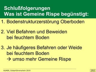 HUMER, Gräserführerschein 2019 202
Schlußfolgerungen
Was ist Gemeine Rispe begünstigt:
1. Bodenstrukturzerstörung Oberboden
2. Viel Befahren und Beweiden
bei feuchtem Boden
3. Je häufigeres Befahren oder Weide
bei feuchtem Boden
→ umso mehr Gemeine Rispe
 