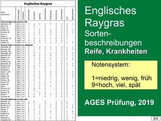 HUMER, Gräserführerschein 2019 64
Englisches
Raygras
Sorten-
beschreibungen
Reife, Krankheiten
AGES Prüfung, 2019
Notensystem:
1=niedrig, wenig, früh
9=hoch, viel, spät
 