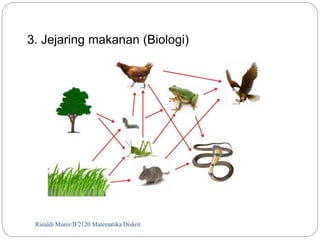 3. Jejaring makanan (Biologi) 
Rinaldi Munir/15 IF2120 Matematika Diskrit 
 