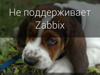 Photo by hackett - Creative Commons Attribution-NonCommercial-ShareAlike License https://www.flickr.com/photos/22905700@N00 Created with Haiku Deck
 