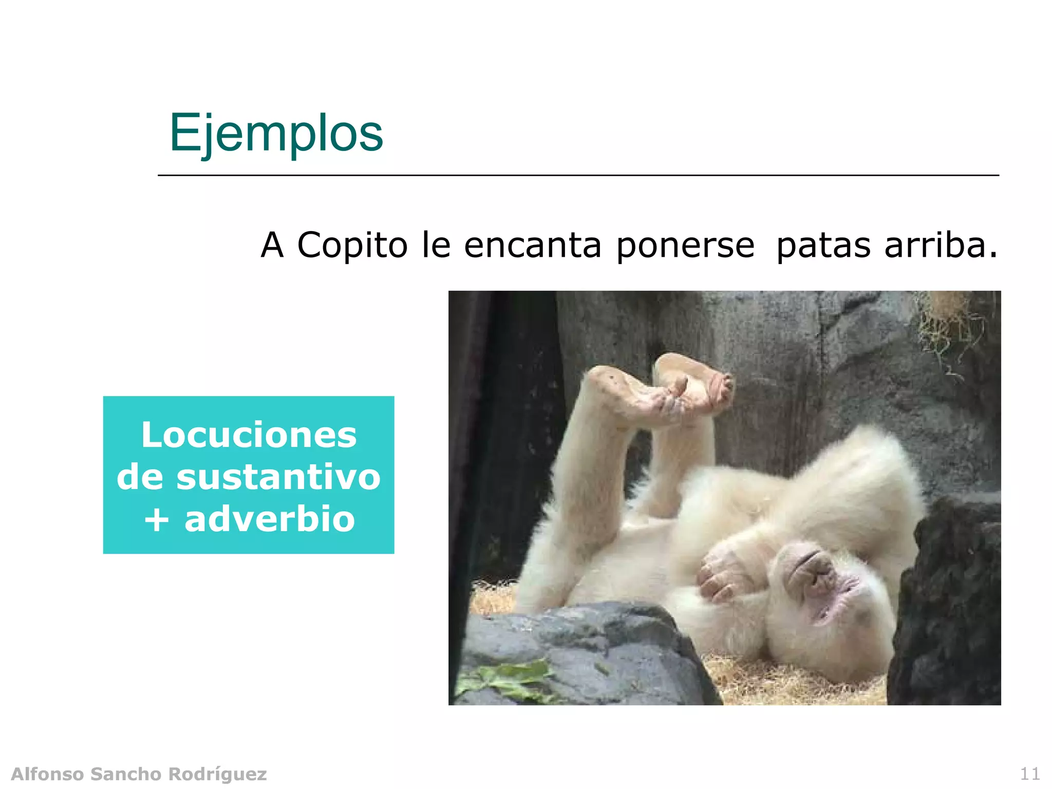 Ejemplos

                       A Copito le encanta ponerse patas arriba.




          Locuciones
         de sustantivo
          + adverbio




Alfonso Sancho Rodríguez                                           11
 