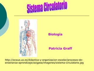 Biología 
Patricia Graff 
http://ocwus.us.es/didactica-y-organizacion-escolar/procesos-de-ensenanza- 
aprendizaje/asigpea/imagenes/sistema-circulatorio.jpg 
 