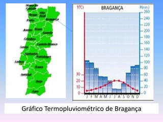 Gráfico Termopluviométrico de Bragança