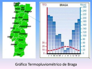 Gráfico Termopluviométrico de Braga