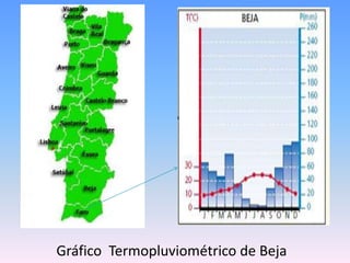 Gráfico  Termopluviométrico de Beja