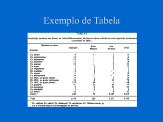 Exemplo de Tabela
 