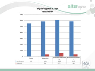 Testigo Azospirillom
Azospirillom+Pseudomo
nas
Azospirillom+Azotobact
er
Rendimiento 5513 5855 6088 5859
Diferencia 342 575 346
0
1000
2000
3000
4000
5000
6000
7000
Trigo Pergamino 2014
Inoculación
 