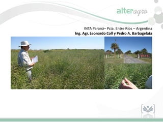 INTA Paraná– Pcia. Entre Ríos – Argentina
Ing. Agr. Leonardo Coll y Pedro A. Barbagelata
 