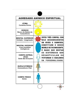 Graficos apometria quantica i