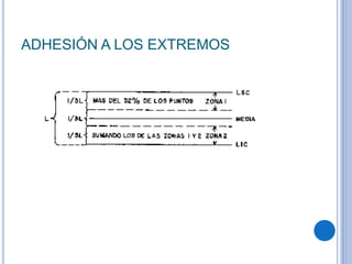 ADHESIÓN A LOS EXTREMOS
 