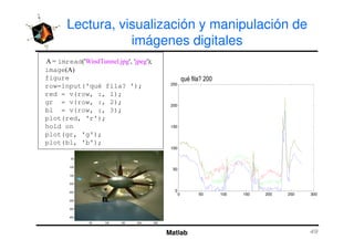 Lectura, visualización y manipulación de
imágenes digitales
200
250
8 imread 'B / ,C ' 'C ' #
image 8
figure
row=input('qué fila? ');
red = v(row, :, 1);
gr = v(row, :, 2);
bl = v(row, :, 3);
plot(red, 'r');
hold on
" . W *AA
Matlab
0 50 100 150 200 250 300
0
50
100
150
hold on
plot(gr, 'g');
plot(bl, 'b');
50 100 150 200 250
50
100
150
200
250
300
350
400
 