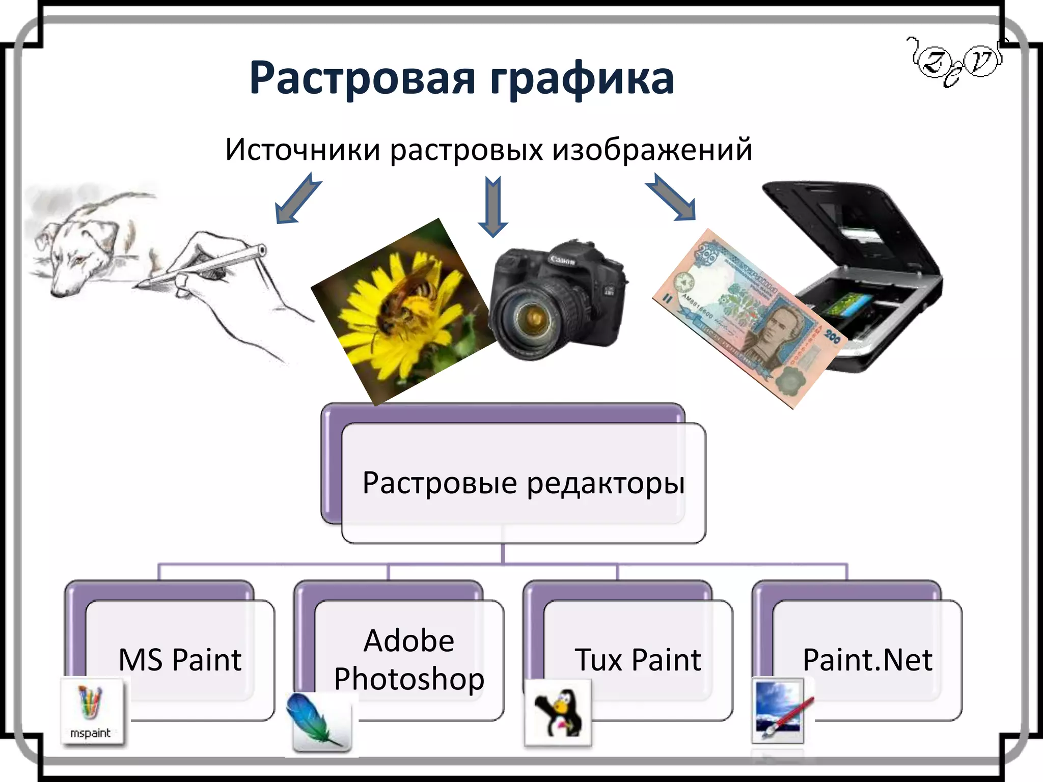 Растровая графика
Растровые редакторы
MS Paint
Adobe
Photoshop
Tux Paint Paint.Net
Источники растровых изображений
 