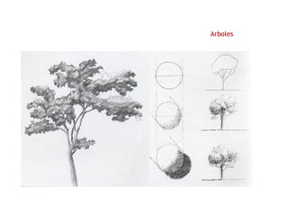 Arboles
 