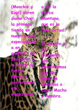 Grafiti Problema Social