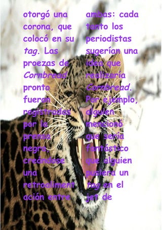 Grafiti Problema Social