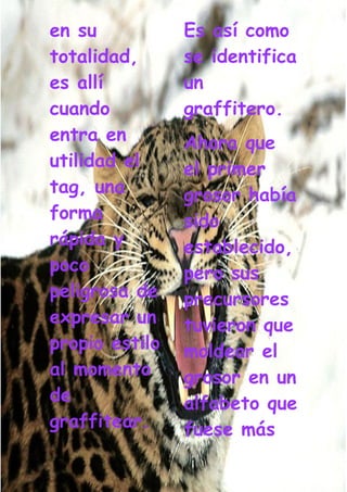 Grafiti Problema Social