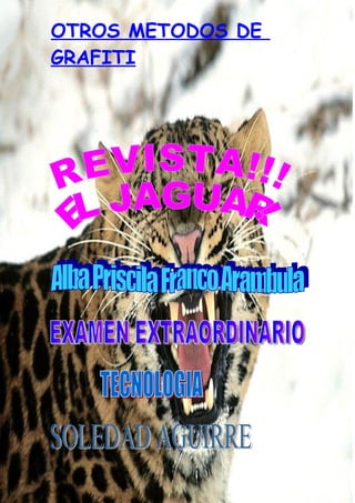 Grafiti Problema Social