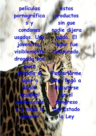 Grafiti Problema Social