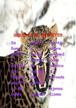 Grafiti Problema Social