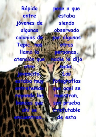 Grafiti Problema Social