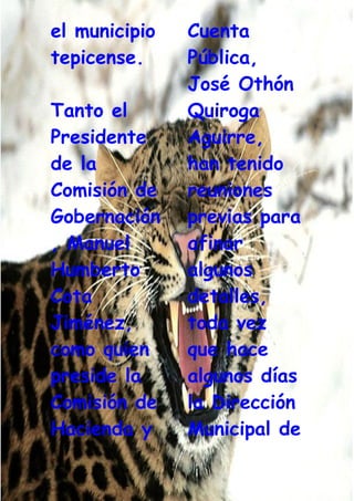 Grafiti Problema Social