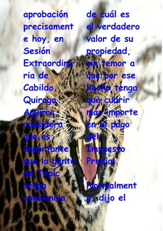 Grafiti Problema Social