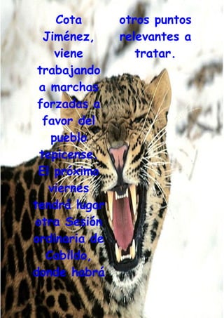 Grafiti Problema Social