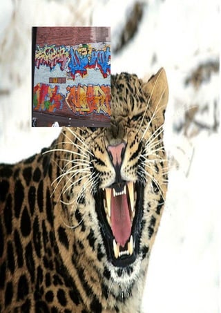 Grafiti Problema Social