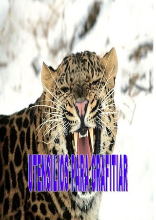 Grafiti Problema Social