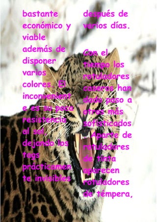 Grafiti Problema Social