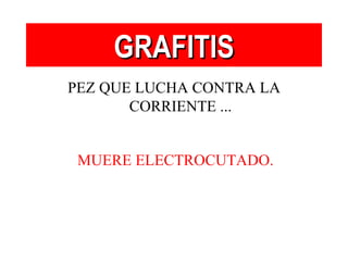 PEZ QUE LUCHA CONTRA LA CORRIENTE ... GRAFITIS MUERE ELECTROCUTADO. 