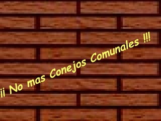 ¡¡¡ No mas Conejos Comunales !!!   