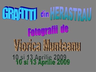 GRAFITTI HERASTRAU Fotografii  de Viorica Munteanu 10 si 13 Aprilie 2009 din 
