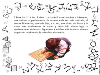 2.Entre los 2 y los 3 años , el control visual empieza a intervenir,
asociándose progresivamente, de manera cada vez más matizada, al
control kinestésico, asociado éste, a su vez, con el uso del brazo y la
mano. Los movimientos de mano y brazo irán dando lugar a
combinaciones de formas, llegándose al establecimiento de un sistema
de guía del movimiento de naturaleza viso motriz.
 