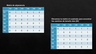 V1 V2 V3 V4 V5 V6
V1 0 1 1 0 1 0
V2 0 0 1 1 0 1
V3 0 0 0 1 1 0
V4 1 0 0 0 0 1
V5 0 1 0 1 0 1
V6 0 0 0 0 1 0
Elevamos la matriz al cuadrado para encontrar
los caminos de tamaño dos (02)
V1 V2 V3 V4 V5 V6
V1 0 0 1 1 1 1
V2 1 0 0 1 1 1
V3 1 1 0 1 0 1
V4 0 1 1 0 1 0
V5 1 0 1 1 1 1
V6 0 1 0 1 0 1
Matriz de adyacencia
 