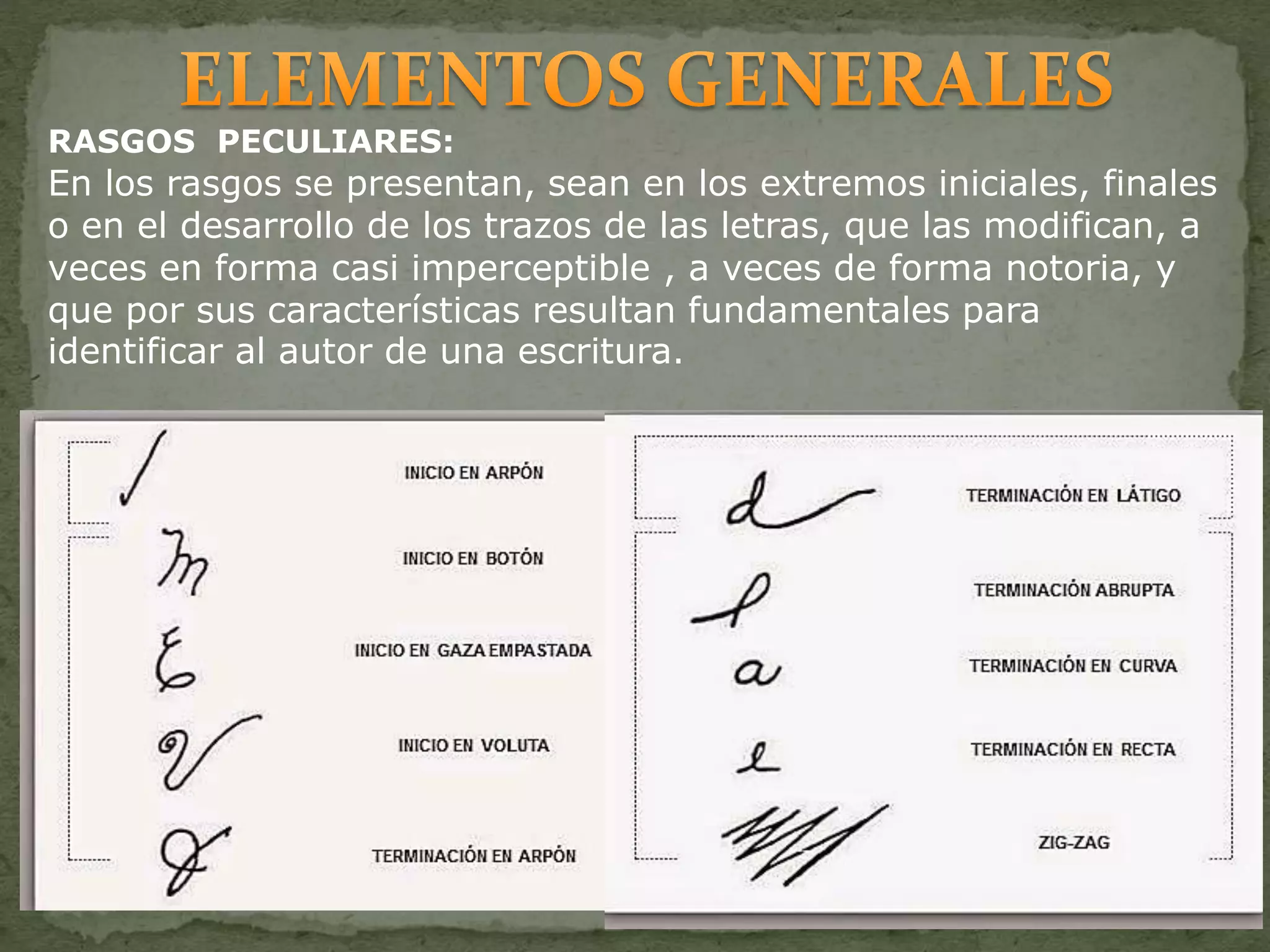 RASGOS PECULIARES:
En los rasgos se presentan, sean en los extremos iniciales, finales
o en el desarrollo de los trazos de las letras, que las modifican, a
veces en forma casi imperceptible , a veces de forma notoria, y
que por sus características resultan fundamentales para
identificar al autor de una escritura.
 