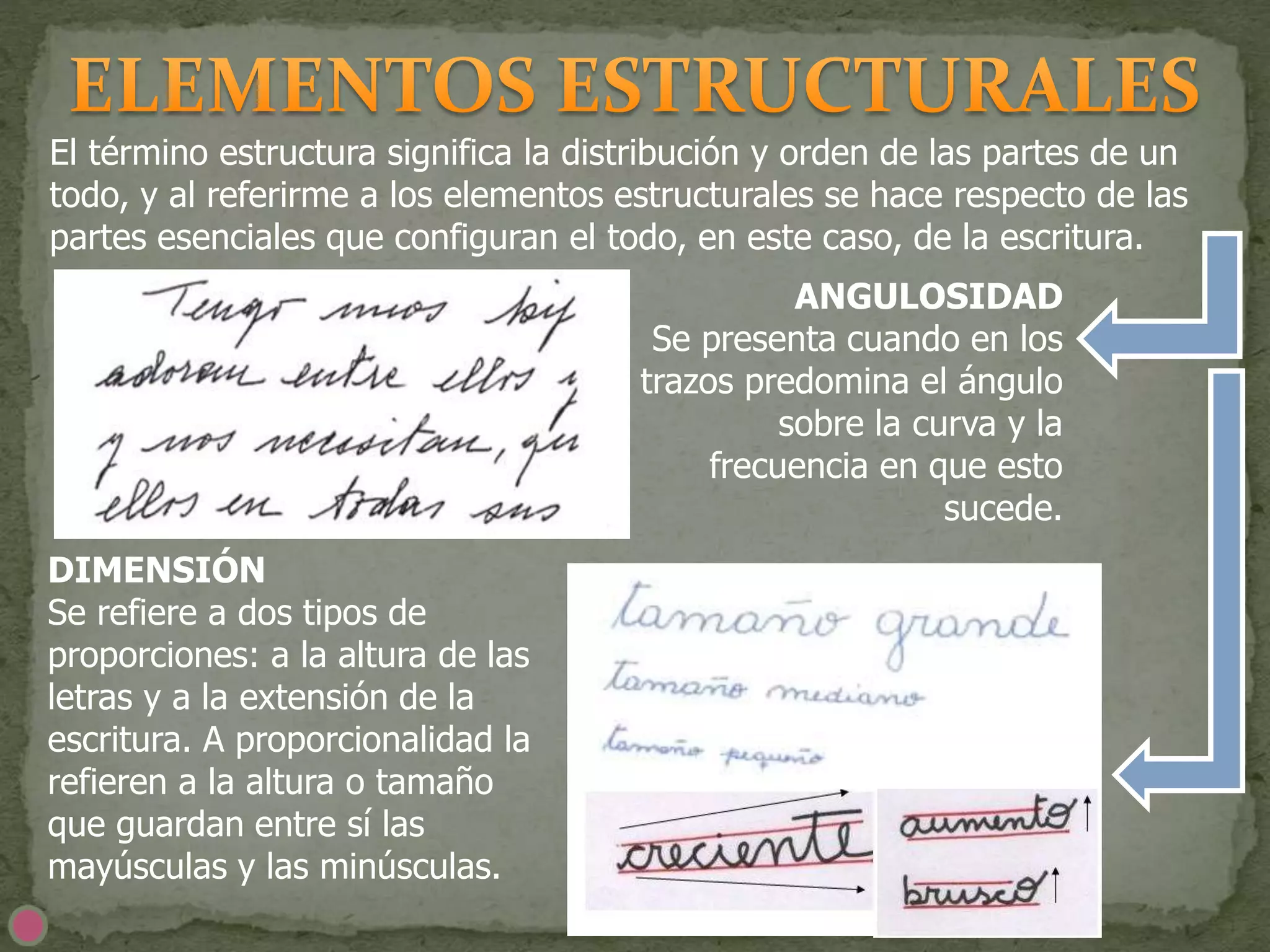 El término estructura significa la distribución y orden de las partes de un
todo, y al referirme a los elementos estructurales se hace respecto de las
partes esenciales que configuran el todo, en este caso, de la escritura.
ANGULOSIDAD
Se presenta cuando en los
trazos predomina el ángulo
sobre la curva y la
frecuencia en que esto
sucede.
DIMENSIÓN
Se refiere a dos tipos de
proporciones: a la altura de las
letras y a la extensión de la
escritura. A proporcionalidad la
refieren a la altura o tamaño
que guardan entre sí las
mayúsculas y las minúsculas.
 