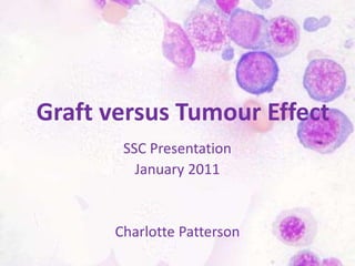 Graft versus Tumour Effect
SSC Presentation
January 2011
Charlotte Patterson
 