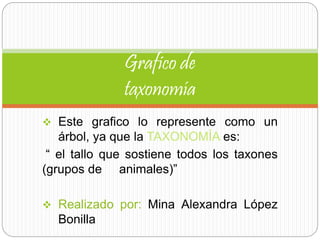  Este grafico lo represente como un
árbol, ya que la TAXONOMÍA es:
“ el tallo que sostiene todos los taxones
(grupos de animales)”
 Realizado por: Mina Alexandra López
Bonilla
Grafico de
taxonomía
 
